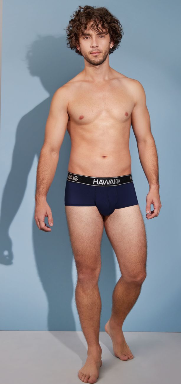 HAWAIR 41961 Mens Maximum Comfort Microfiber Briefs Dark Blue