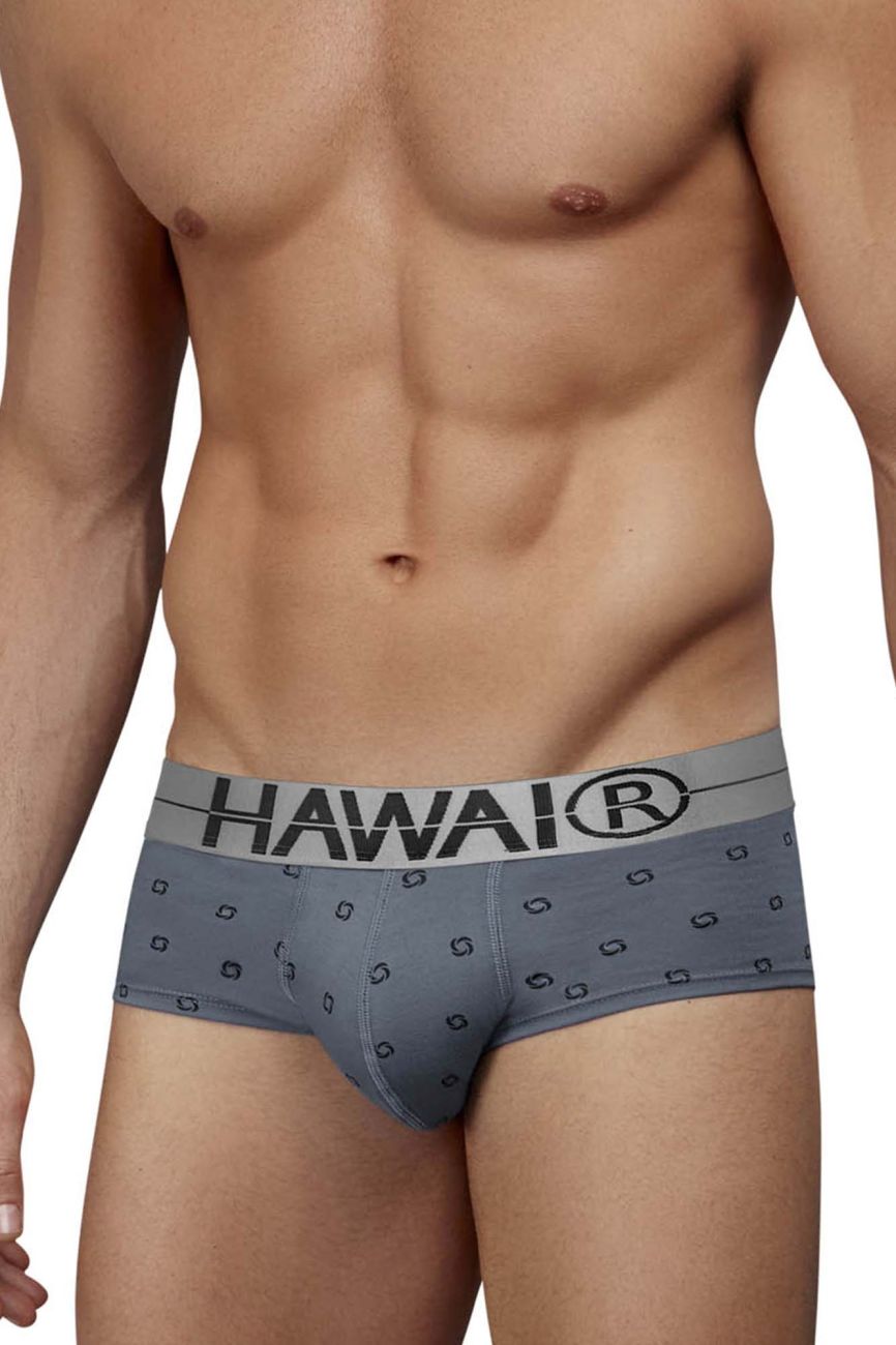 HAWAIR 42531 Cotton Blend Male Everyday Briefs Gray