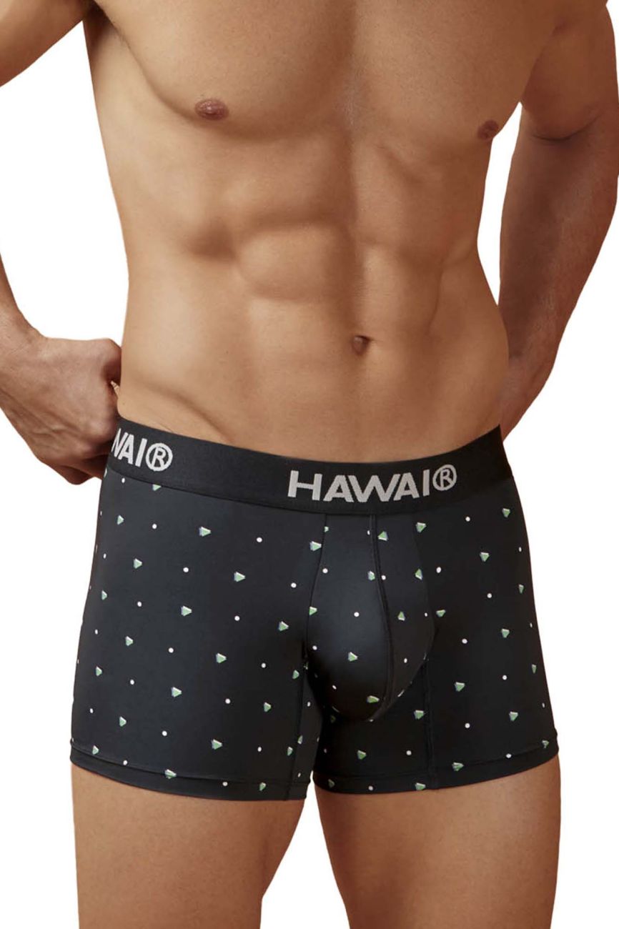 HAWAIR 42570 Microfiber Male Everyday Trunks Black