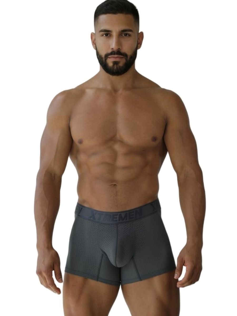 Xtremen 91251 Xtremen Mens Micro-Perforated High Performance Boxer Briefs Gray