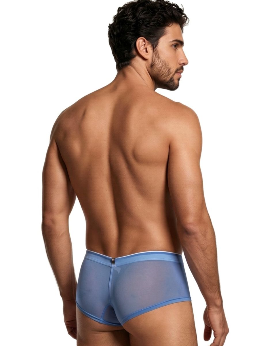 Xtremen 91263 Mens Sheer See-through Microfiber Mesh Briefs Blue