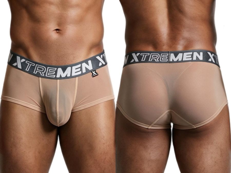 Xtremen 91279 Mens Microfiber Sheer Stretch Mesh Briefs Brown