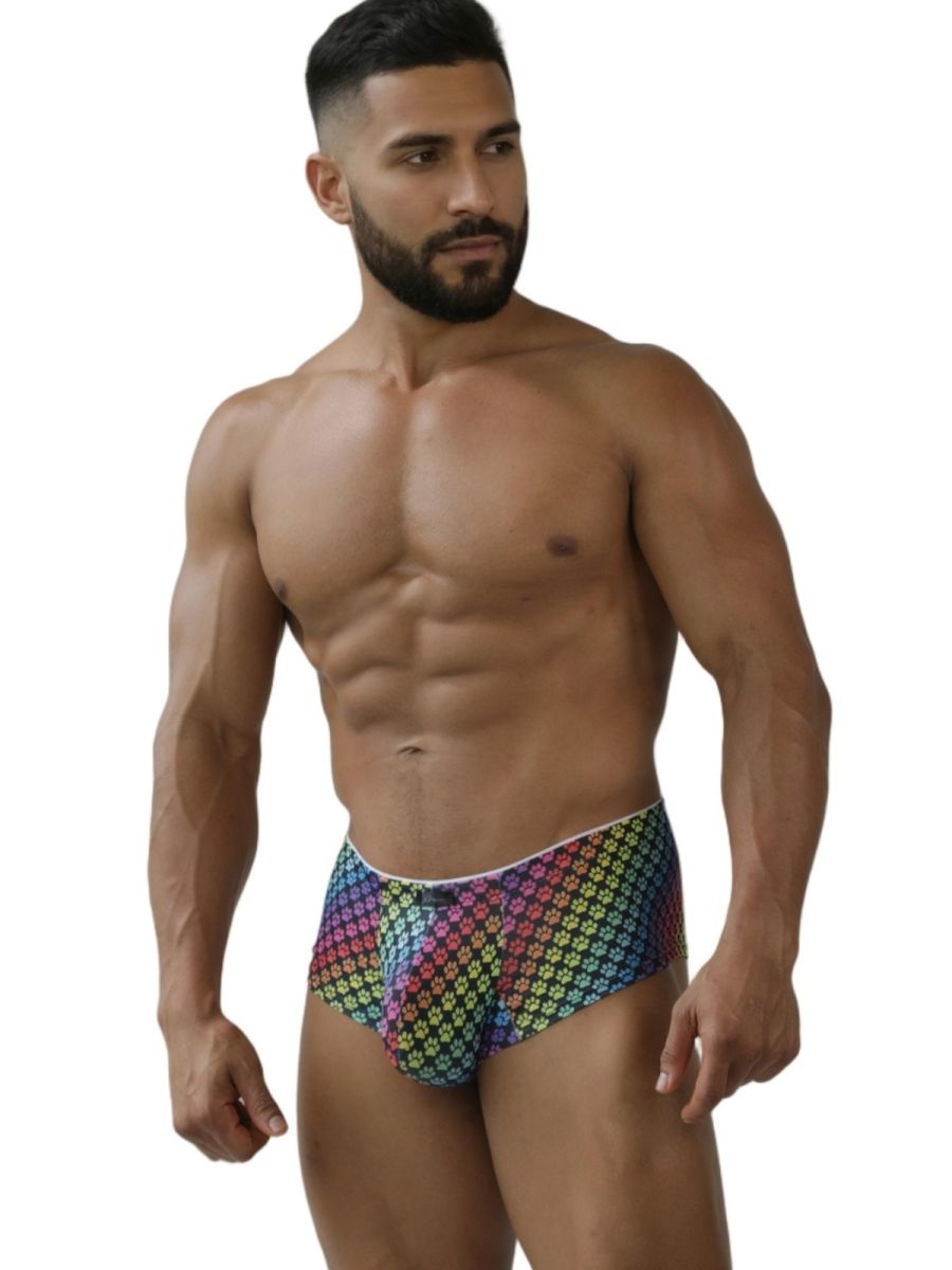 Xtremen 91283 Ultimate Low-Rise Rainbow Printed Briefs Paw Print