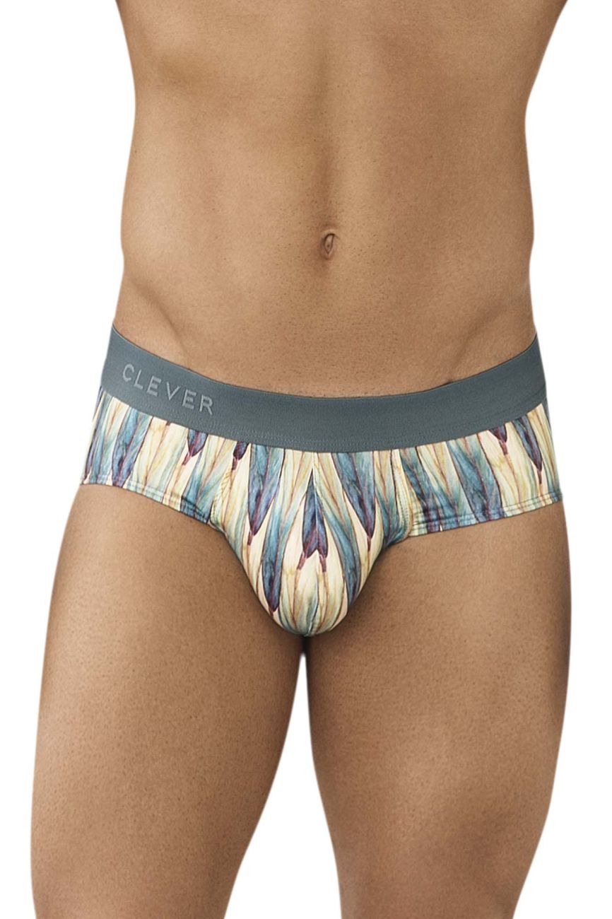Clever 0959 Sprout Briefs Gray Multi