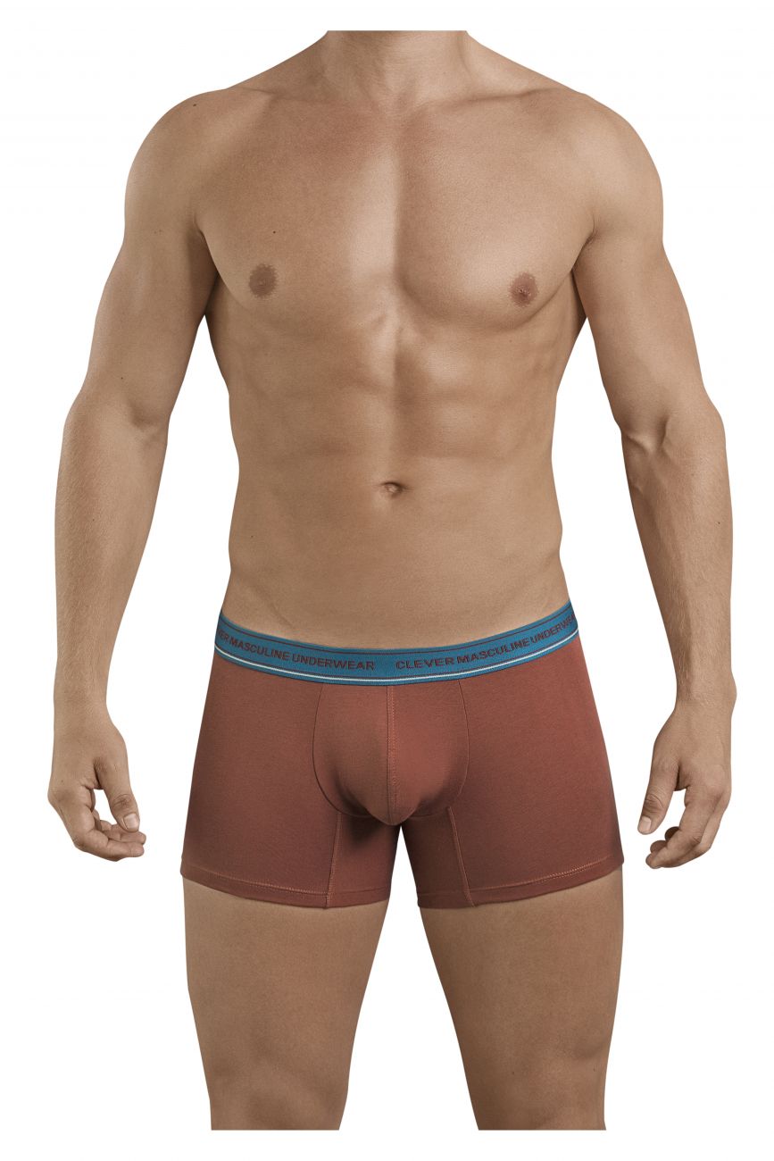 Clever 2394 Attractive Boxer Briefs Brown