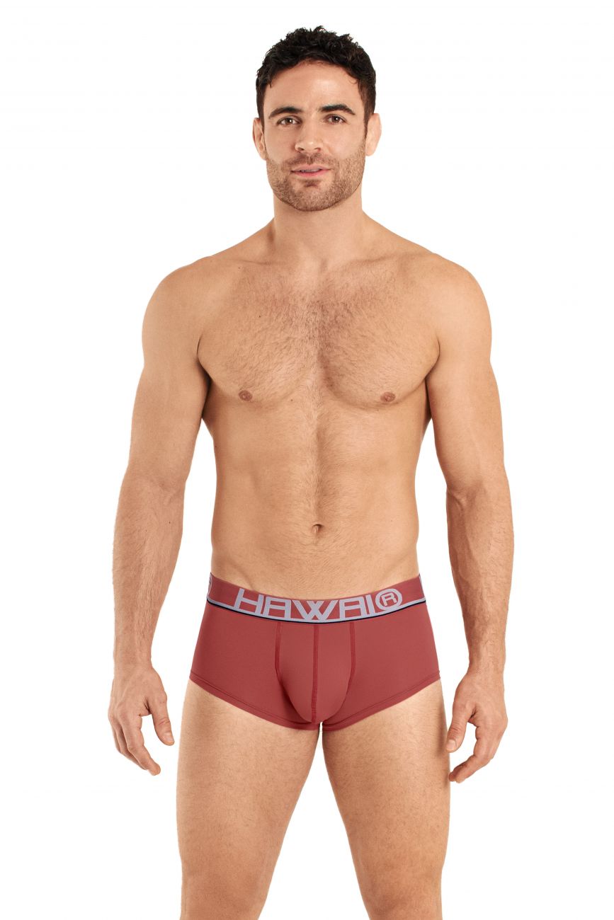 HAWAI 41961 Briefs Terracotta