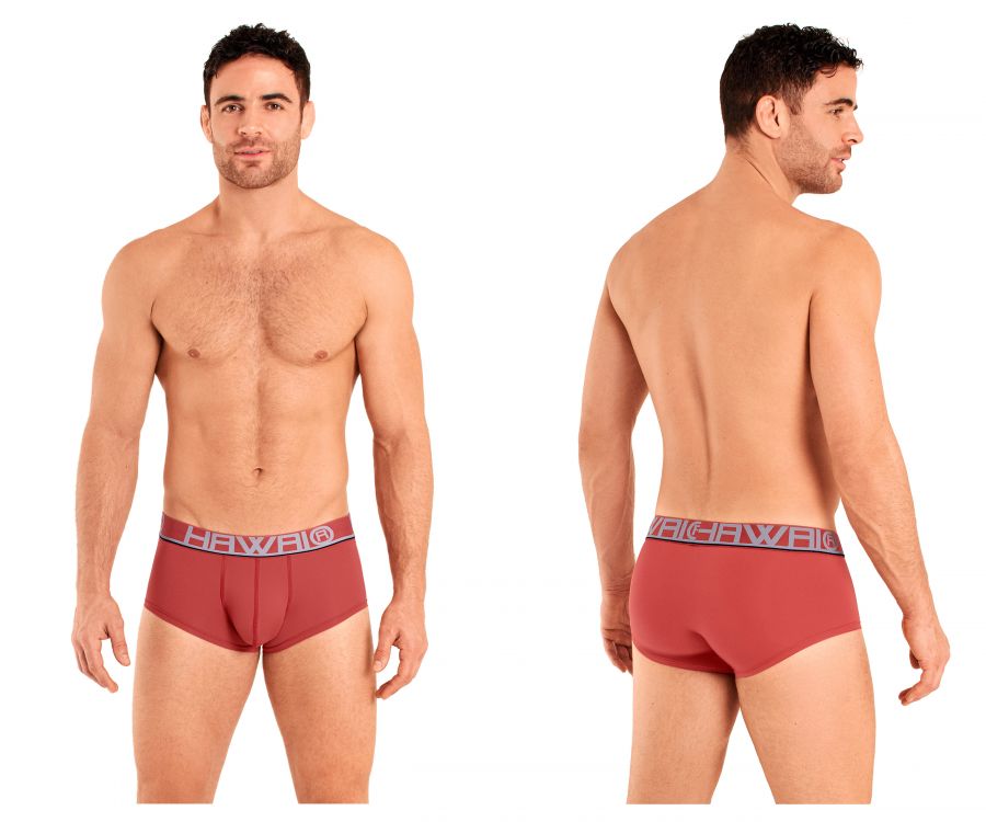 HAWAI 41961 Briefs Terracotta