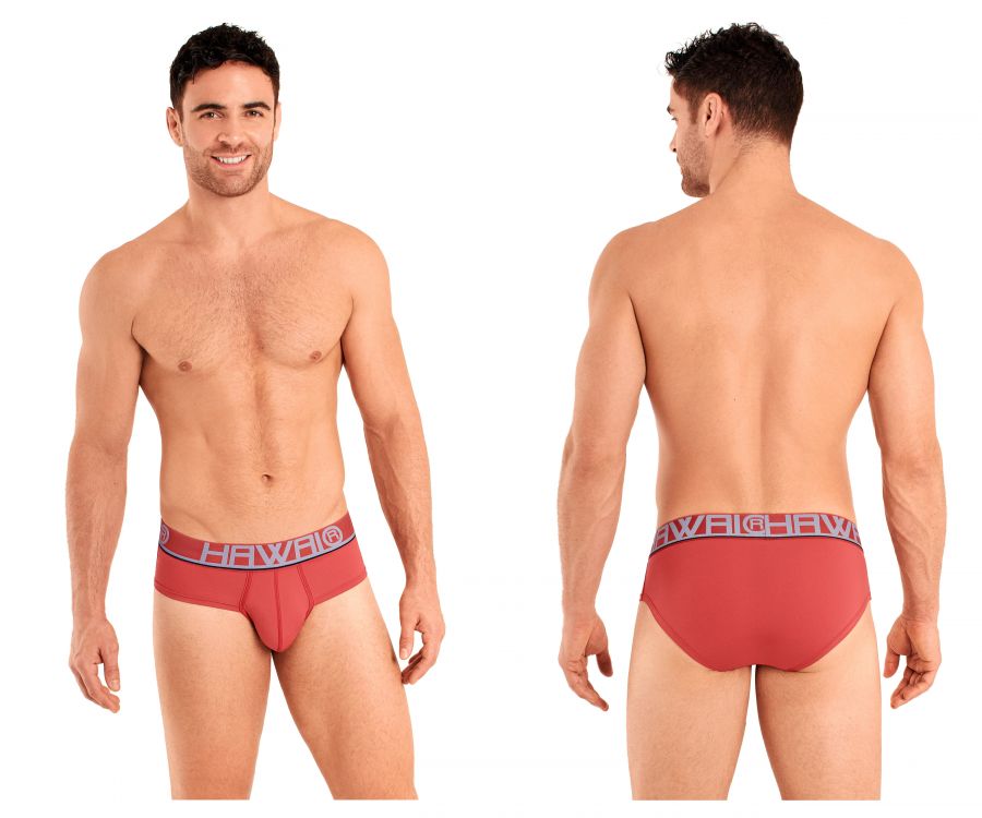 HAWAI 41963 Briefs Teracotta