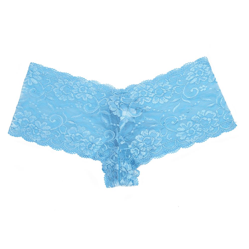 Mens Sissy Lingerie Floral Lace See-through Briefs Panties with Sheath Front Sky Blue