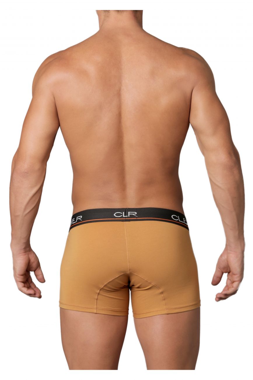 Clever 2199 Limited Edition Boxer Briefs Trunks Brown