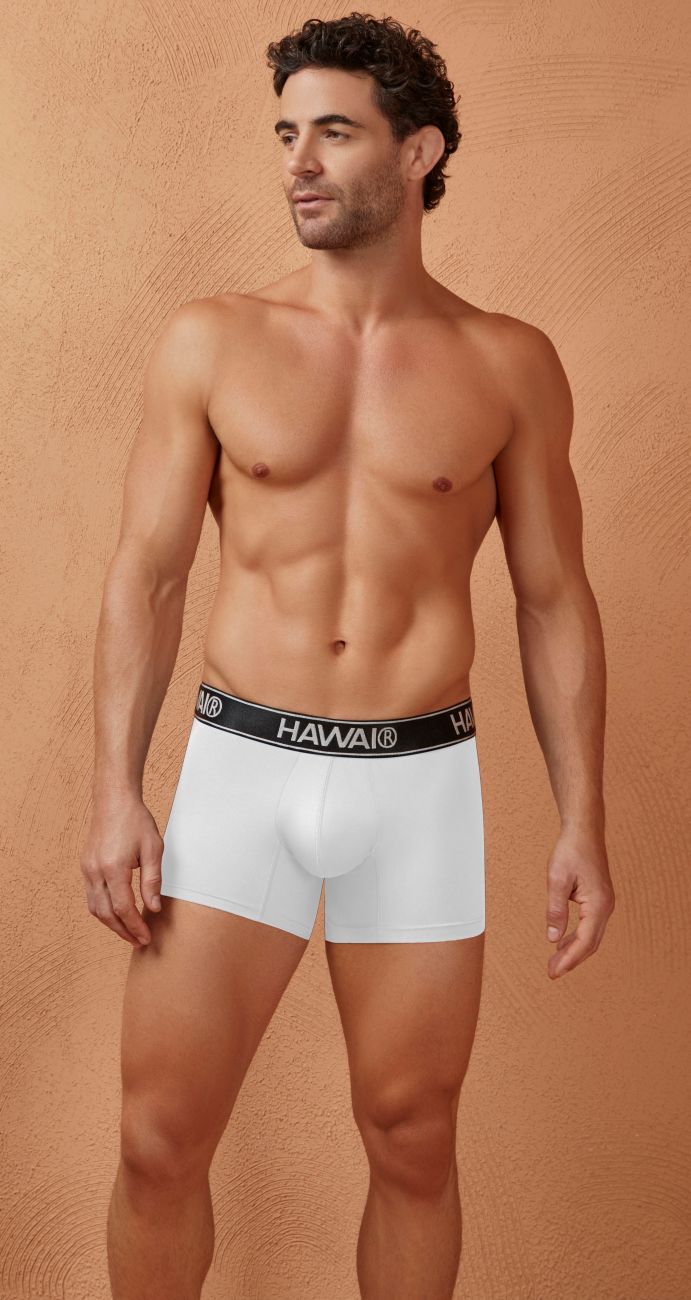 HAWAIR 41977 Microfiber Male Modern Fit Trunks White