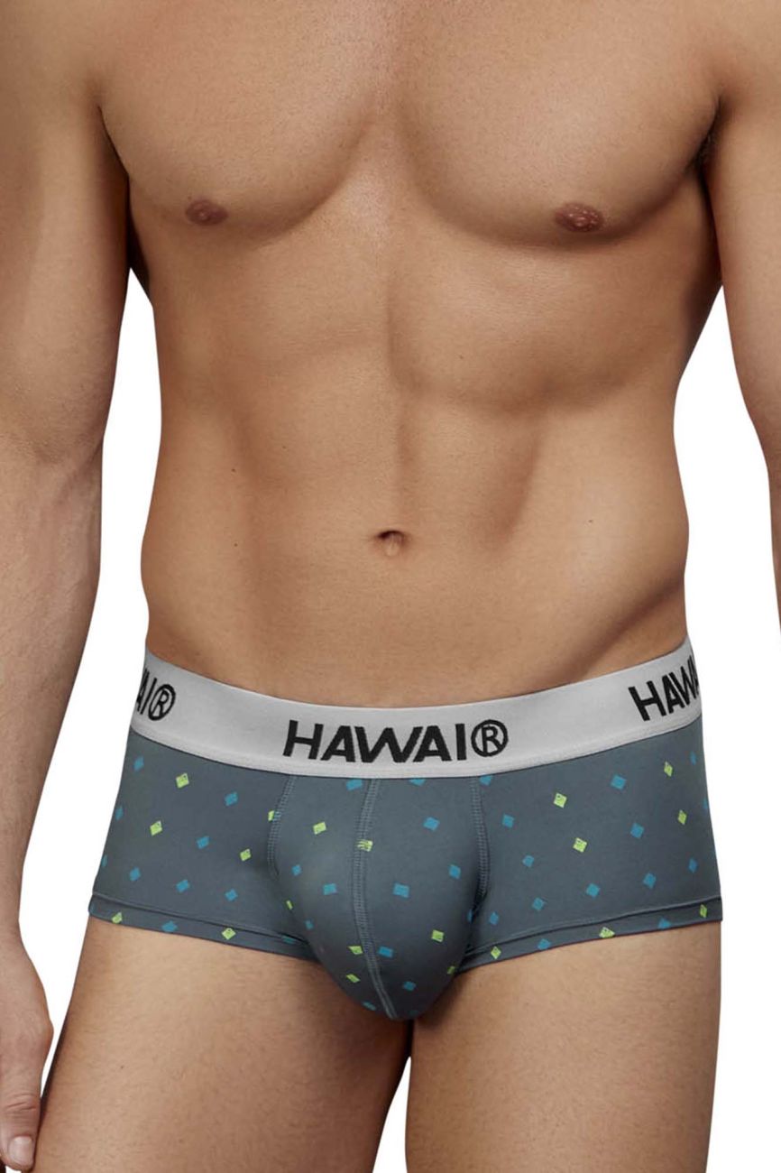 HAWAIR 42580 Male Sleek to Touch Microfiber Briefs Gray
