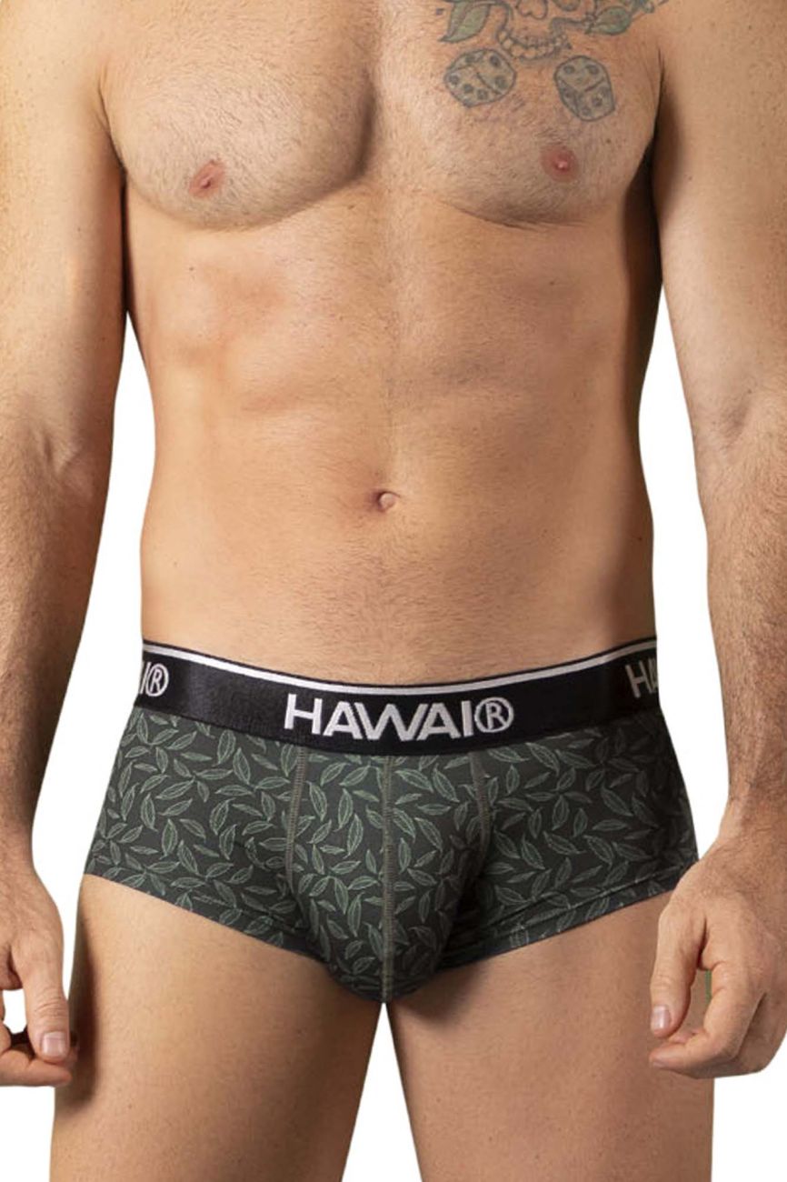 HAWAI 42380 Printed Briefs Green