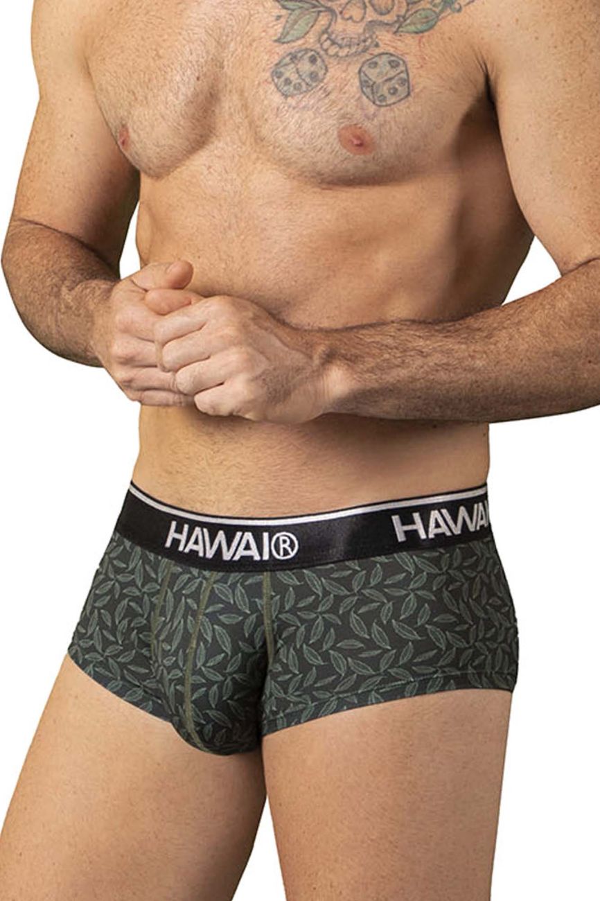 HAWAI 42380 Printed Briefs Green