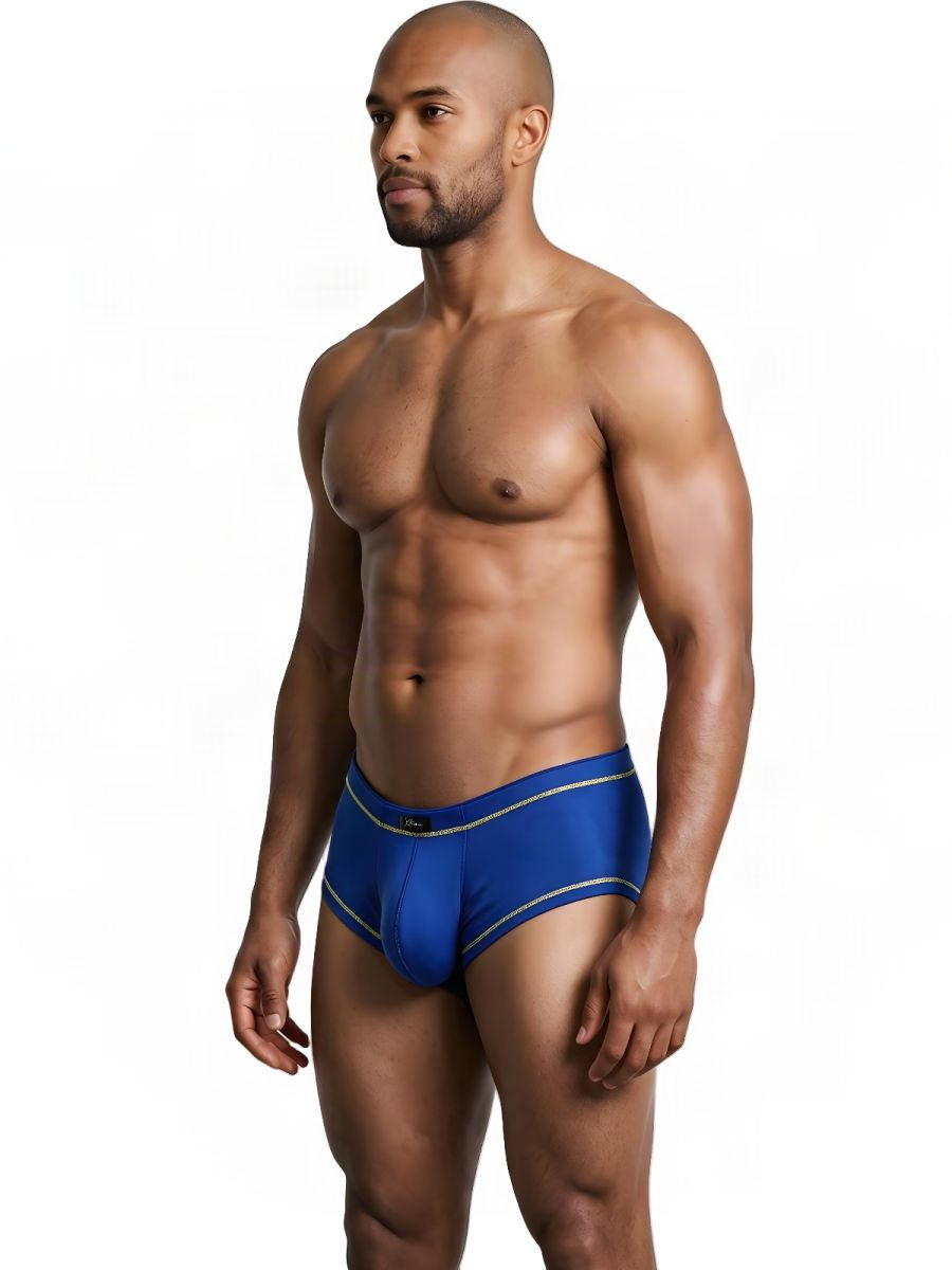 Xtremen 91260 Mens Microfiber Ultra Sleek Briefs Royal Blue