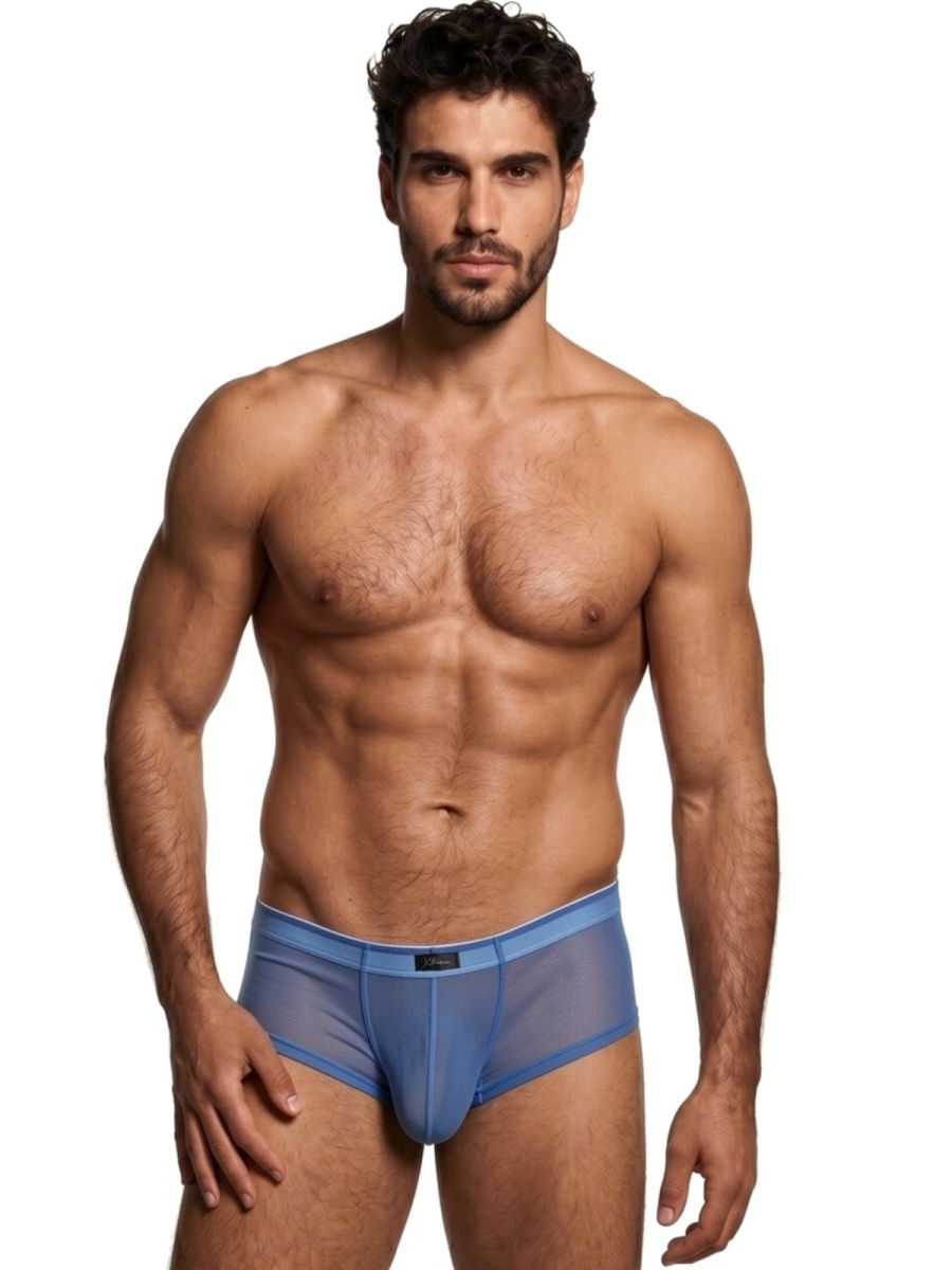 Xtremen 91263 Mens Sheer See-through Microfiber Mesh Briefs Blue