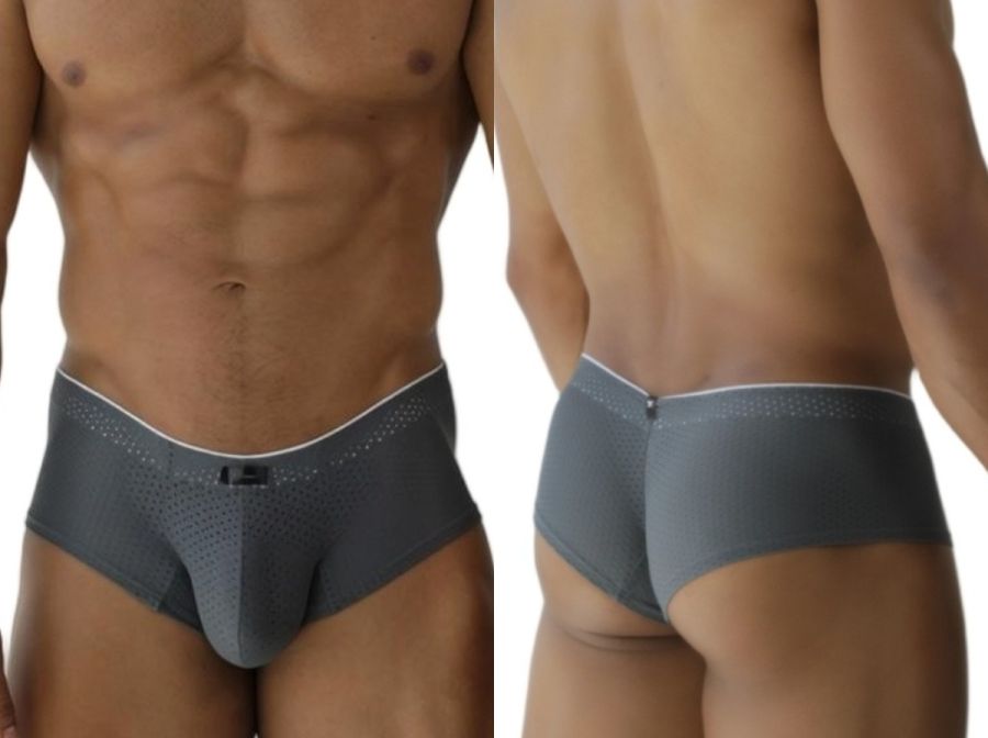Xtremen 91269 Mens Sleek V-Cut Performance Mesh Briefs Gray