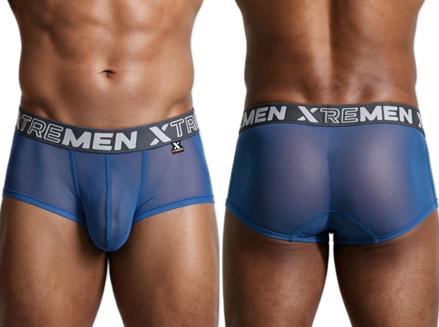 Xtremen 91279 Mens Microfiber Sheer Stretch Mesh Briefs Blue