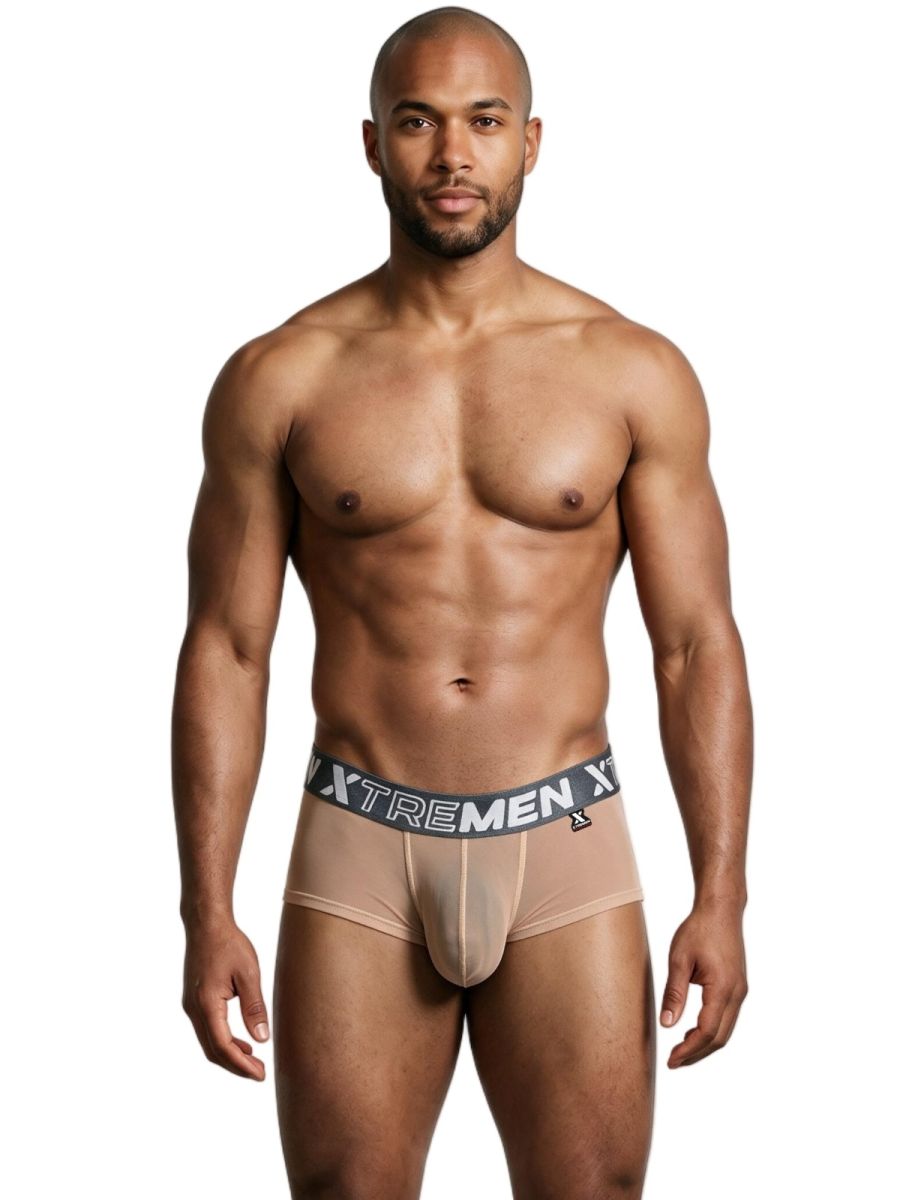 Xtremen 91279 Mens Microfiber Sheer Stretch Mesh Briefs Brown