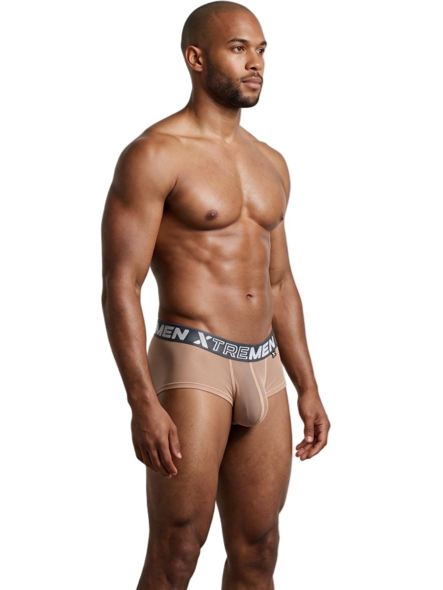 Xtremen 91279 Mens Microfiber Sheer Stretch Mesh Briefs Brown
