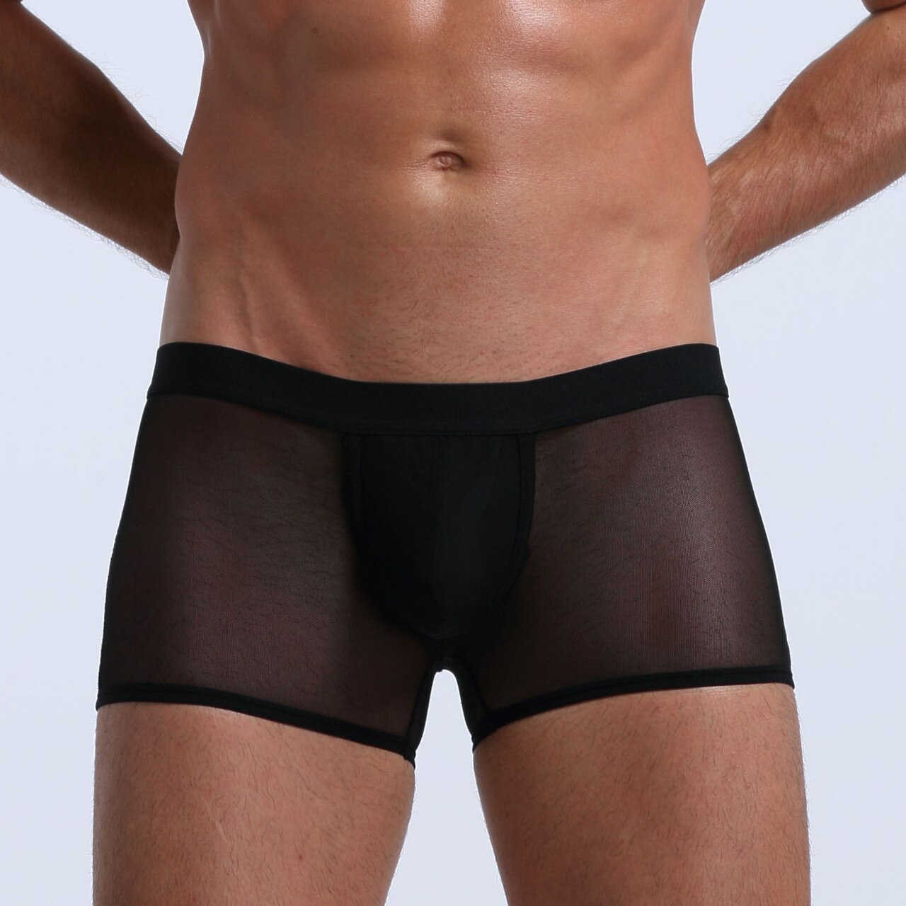 Mens Stretch Mesh Sheer Boxer Briefs with Pouch Front Black