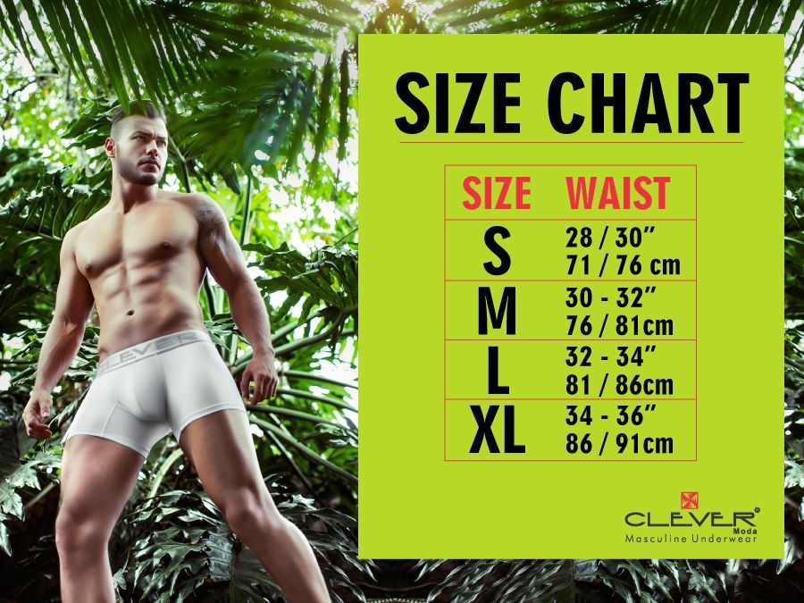 Clever 0598-1 Success Briefs White