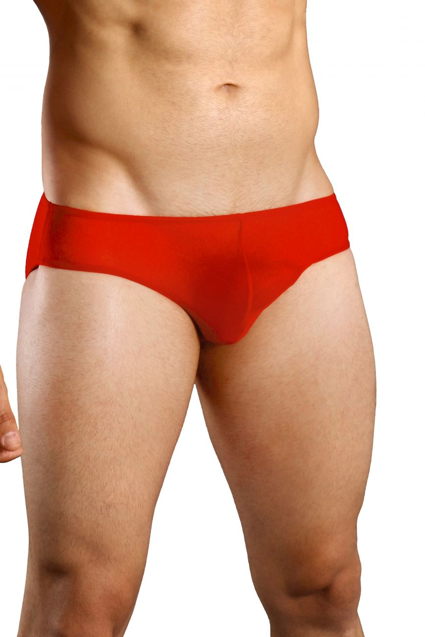 Doreanse 1321- Sexy Sheer Brief Red - Up to Sizes 2X