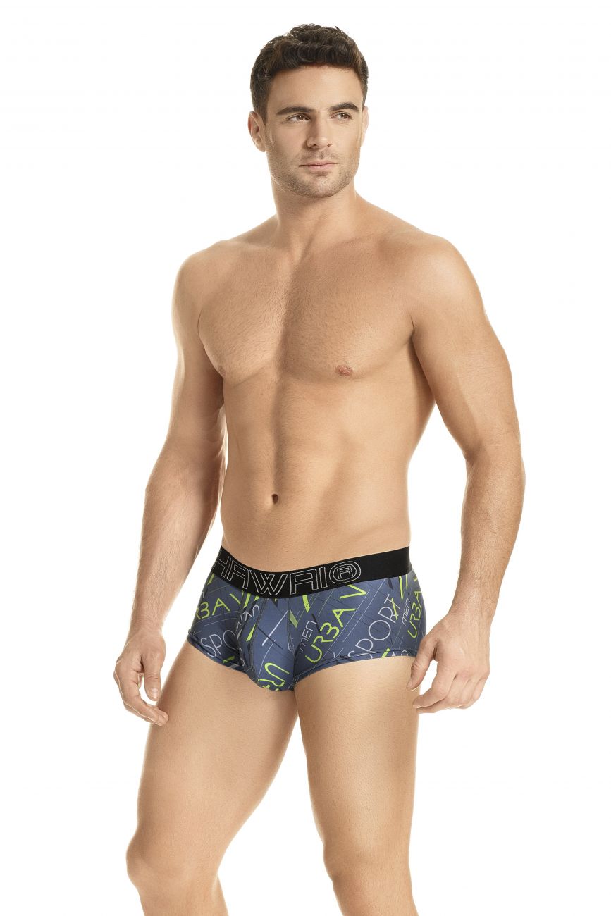 HAWAI 41932 Briefs Gray