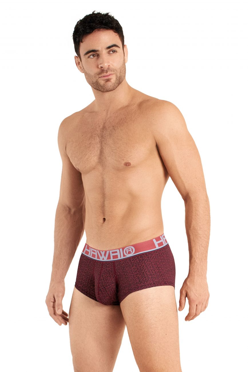 HAWAI 42024 Briefs Terracotta