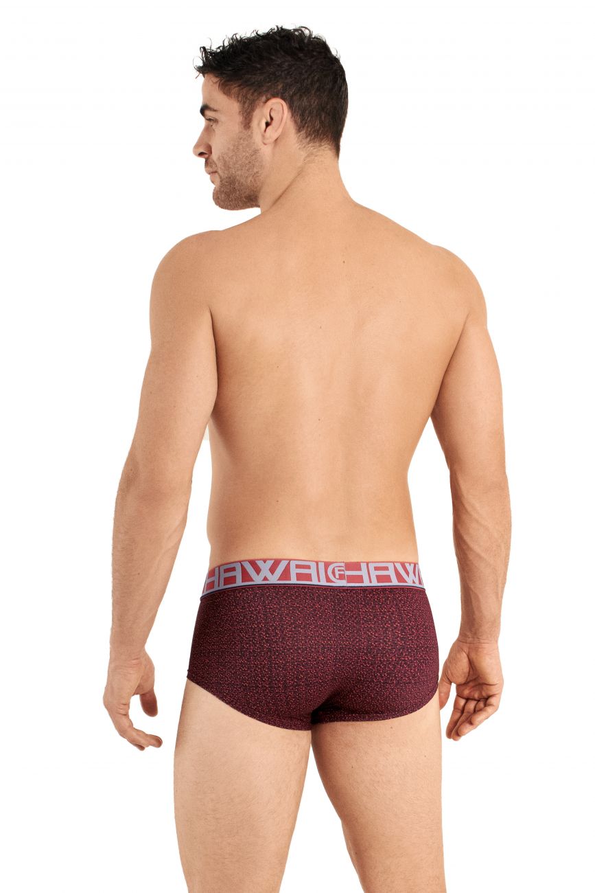 HAWAI 42024 Briefs Terracotta