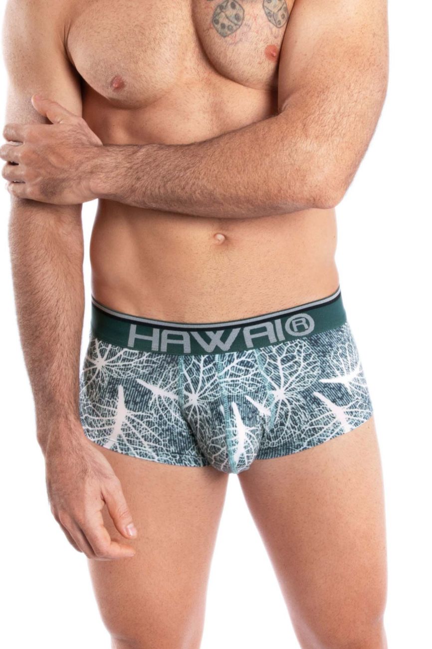 HAWAI 42134 Printed Mini Trunks Green