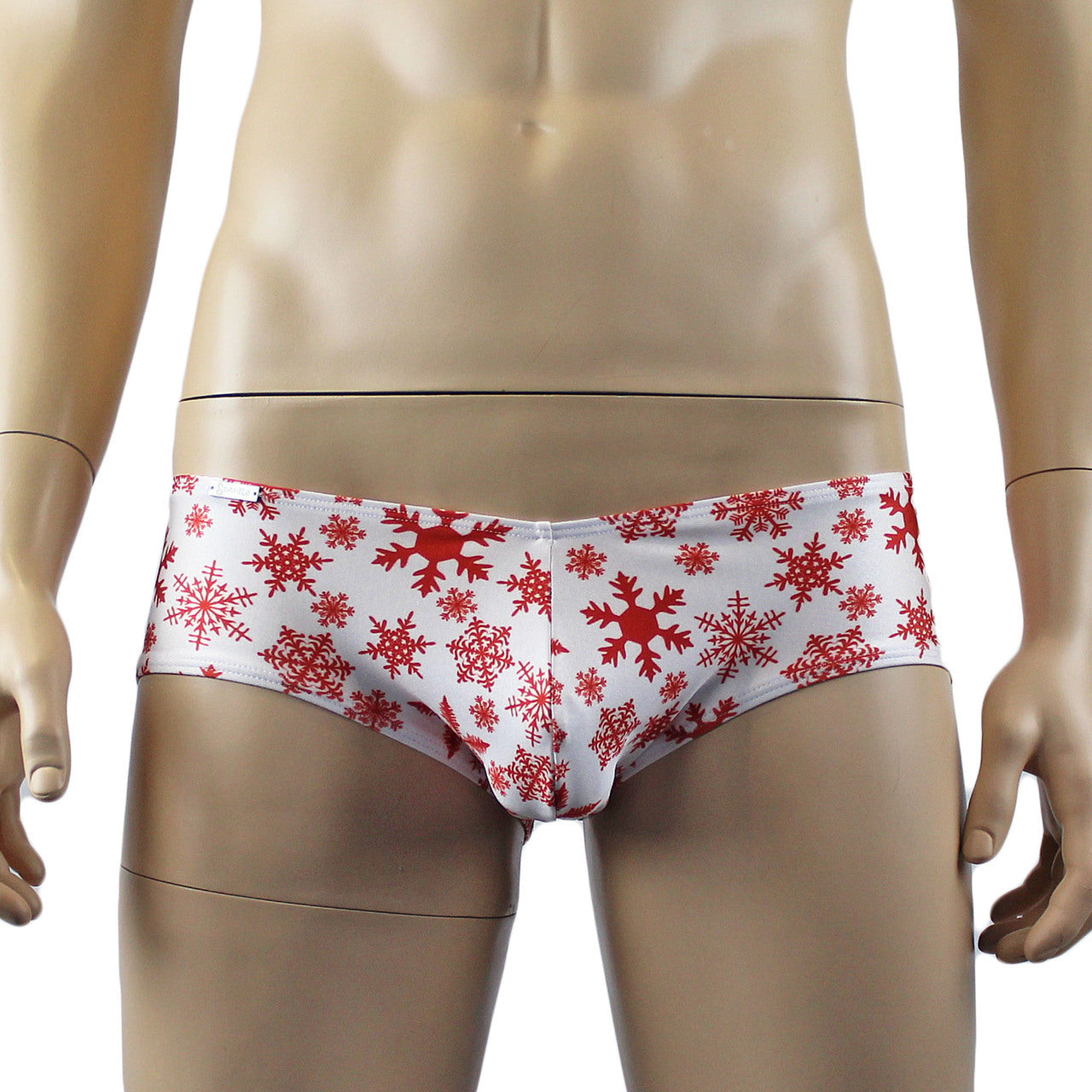 Crazy Boxer Adult Small 28-30 Flaming 100 Dollar Bill Boxer Brief Underwear  Mens